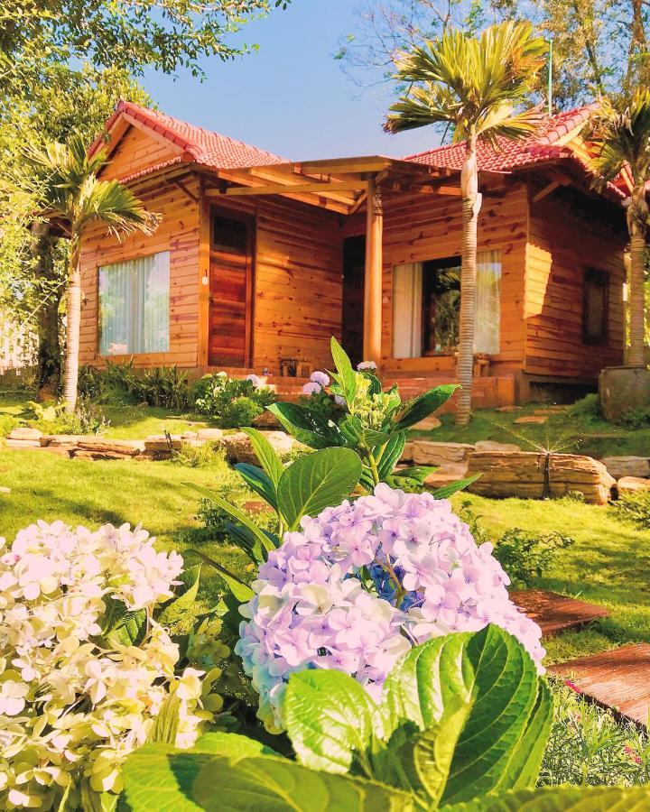 פלייקו Sora Homestay מראה חיצוני תמונה