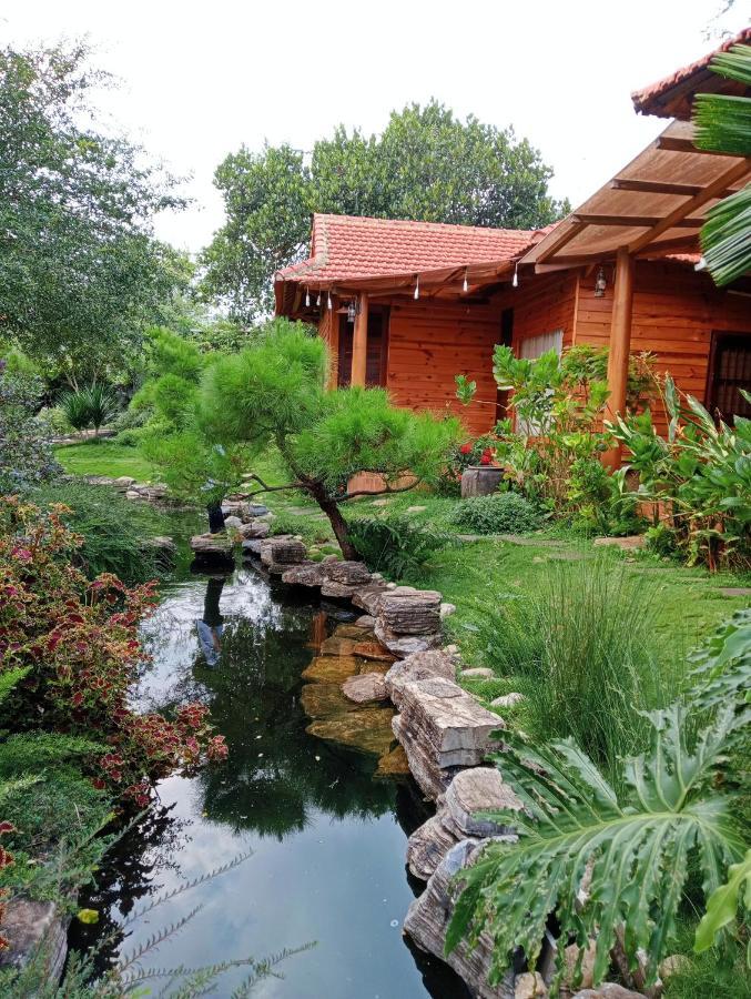 פלייקו Sora Homestay מראה חיצוני תמונה