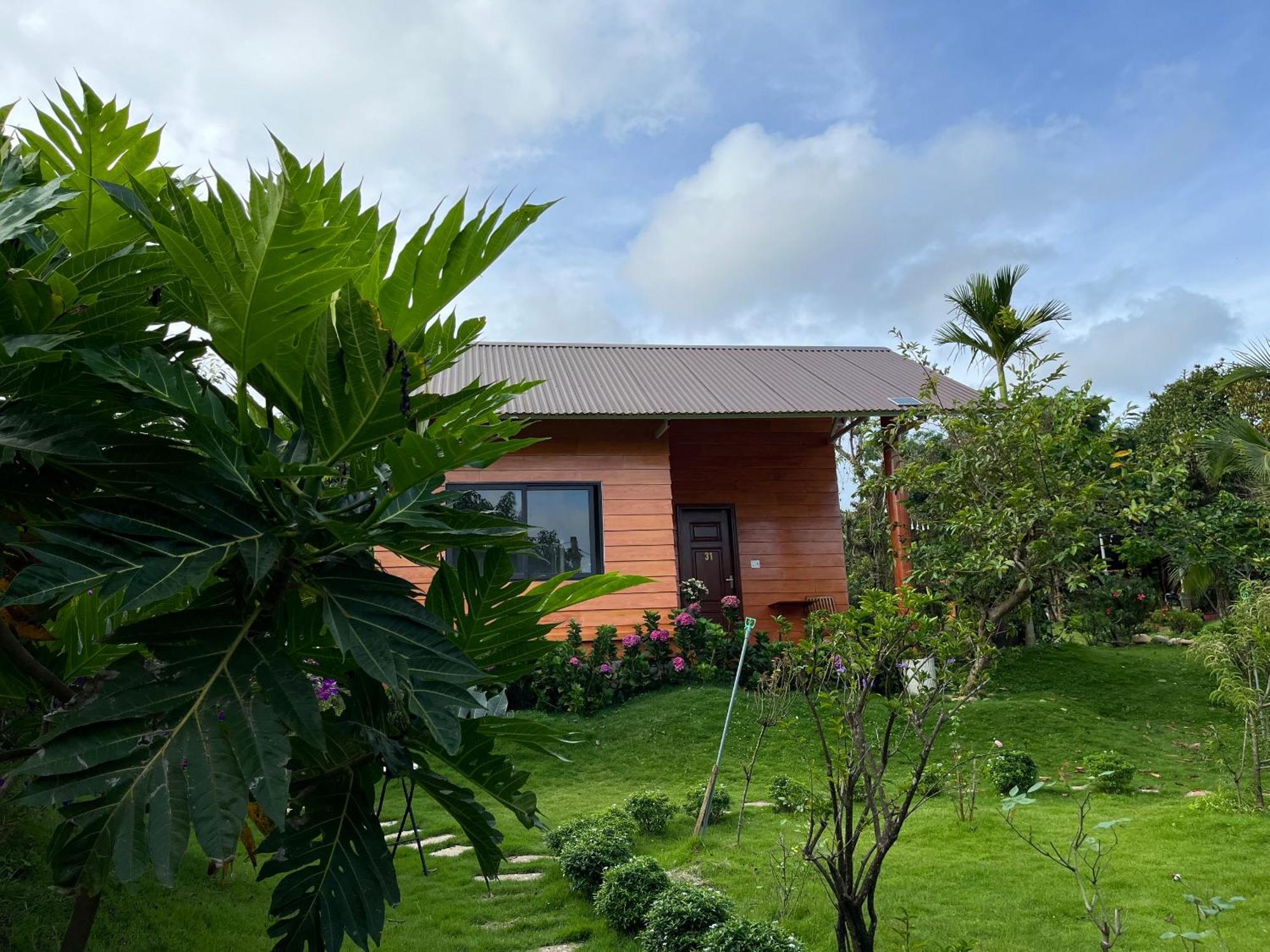 פלייקו Sora Homestay מראה חיצוני תמונה